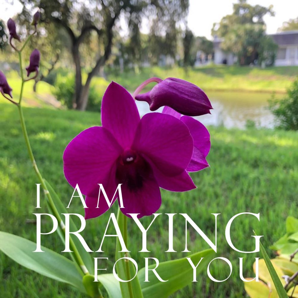 Meet your Posher, Caela